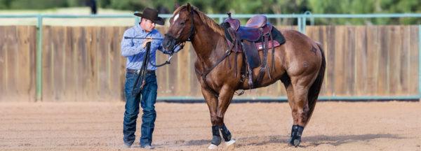 Troubleshoot_Yield-the-Forequarters