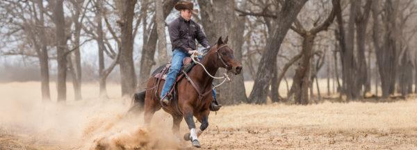 Help-Your-Horse-when-Spooked