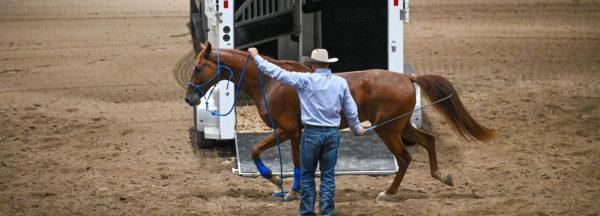 Emergency-Trailer-Loading