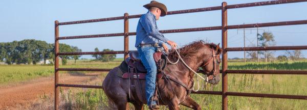 Chilling-Out-a-Busy-Minded-Horse