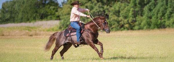 How-to-Correct-a-Horse-That-Bolts